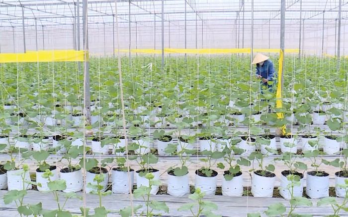 LỊCH SẢN XUẤT NÔNG NGHIỆP